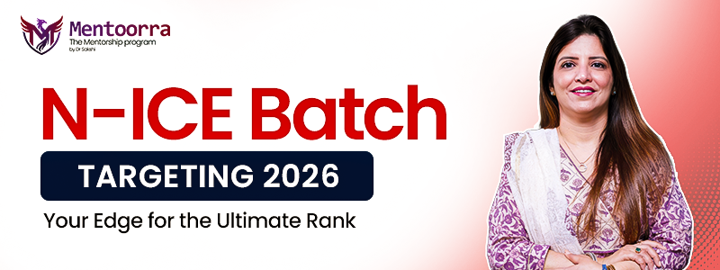 N-ICE Batch Banner